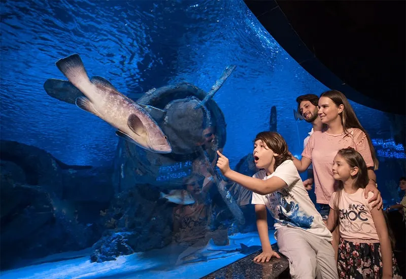 Aquarium Tour from Side